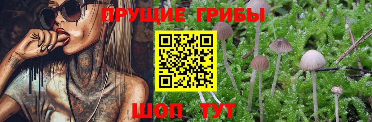 Галлюциногенные грибы Psilocybine cubensis  Галлюциногенные грибы мухоморы  купить наркотик  Южно-Сахалинск  Вход с VPN 