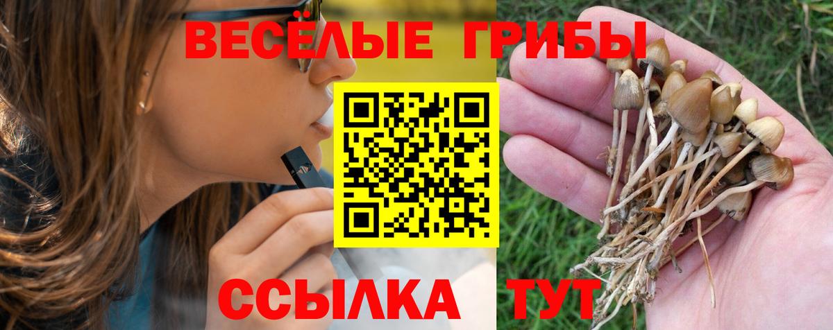 Псилоцибиновые грибы Cubensis Южно-Сахалинск